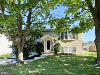 115 Lion Dr