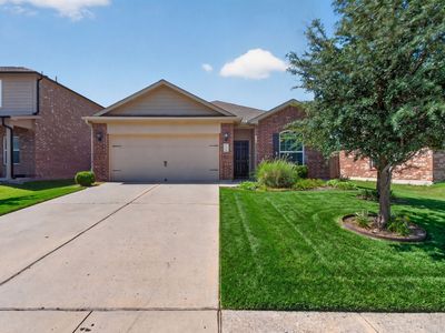 161 Ryan St