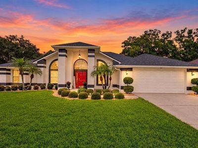 919 RIDGE SPRING COURT