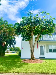 81 Kingswood E