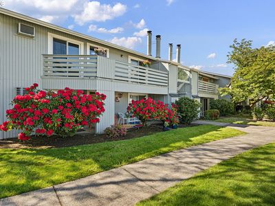 650 Harlow Rd APT 248