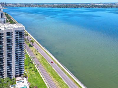 2413 Bayshore Blvd Unit 1003