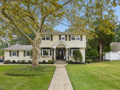 87 Webster Dr