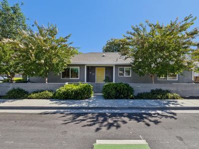 3131 Alameda De Las Pulgas