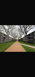 8710 Skokie Blvd #3BS