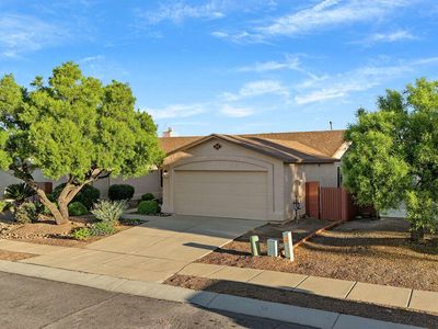 10131 E Hummingbird Meadow Way