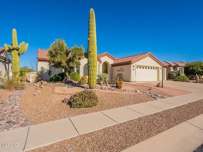 1911 E Canyon Wren Way
