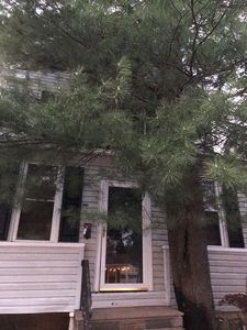 122 Hilton Ave