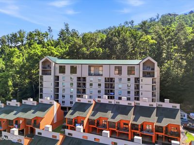 413 Baskins Creek Rd APT 303