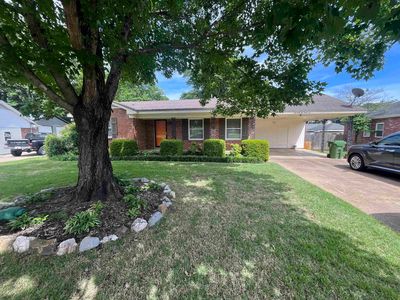7246 Pam Dr