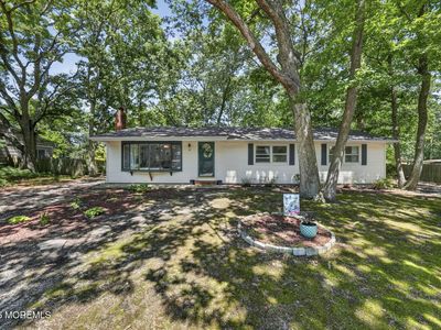 3 Quiver Court