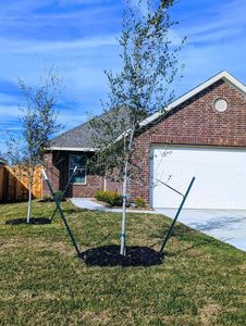 20855 Cropani Shadow Dr
