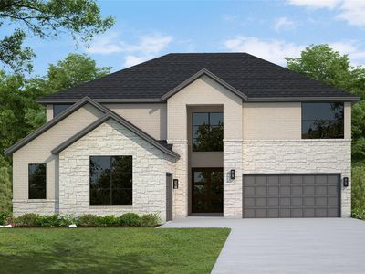 16243 Blue Mistflower Ln