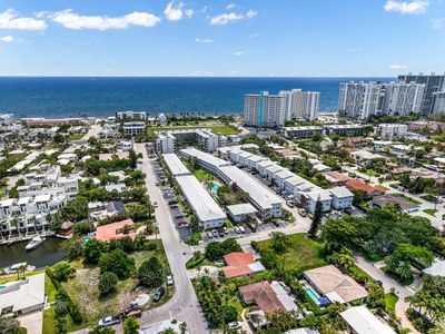 228 Hibiscus Avenue #233