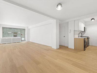 225 E 46th St APT 1B