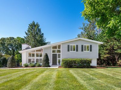 142 Whitehead Dr
