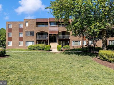 460 Girard St APT 204