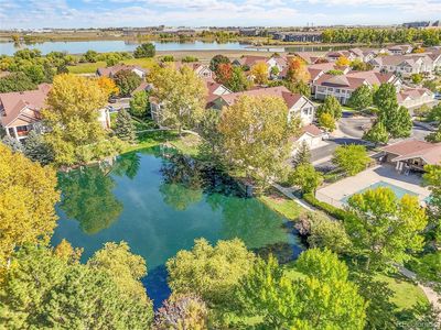 4605 Hahns Peak Drive #203