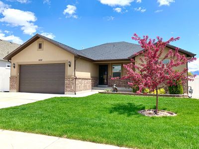 12137 S Black Powder Dr