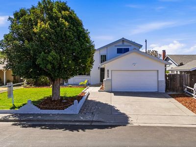 855 Meadowlark Drive