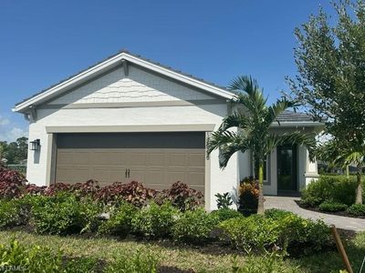 7423 Blue Salvia LN
