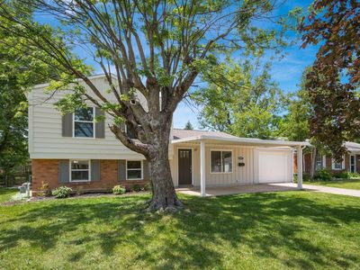 447 Celina Rd