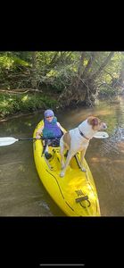 236 Whitewater Run