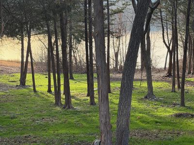 1269 Clevenger Cove Rd Road