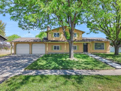 1440 David Dr