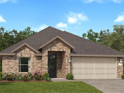 Chrysanthemum Plan, Samara : Wildflower IV & Richmond Collections