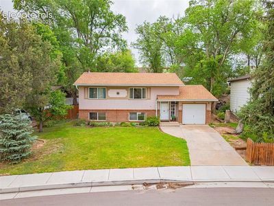 4224 Whittier Dr