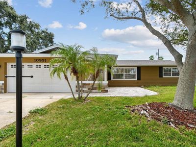 10931 Hammock Dr