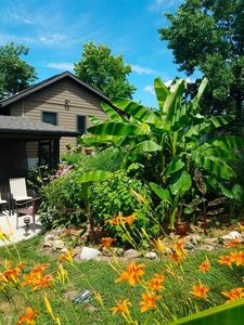 1414 Pickford Pl