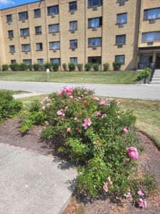 6670 S Brainard Ave APT 404