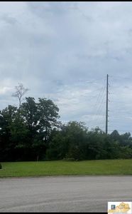 Property at 219 Ashkirk Ln, Glasgow, KY