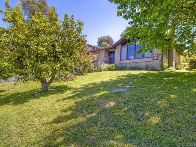 1847 W El Norte Pkwy