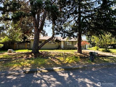 31 Burnt Mountain Place