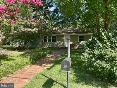 501 Loblolly Ln
