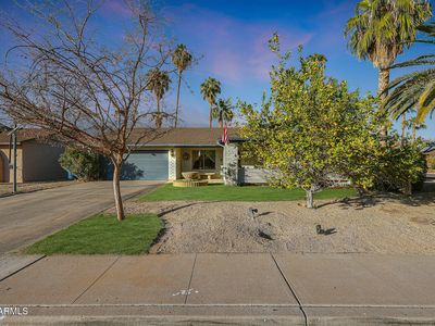 556 W KIVA Avenue