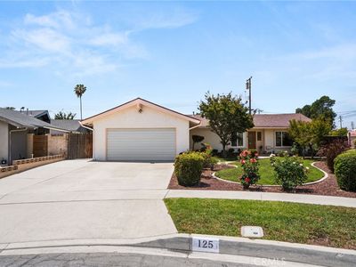 125 Mercer Way