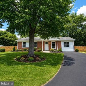 706 S Dogwood Ct