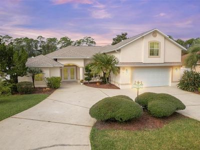11 Zonal Geranium Ct