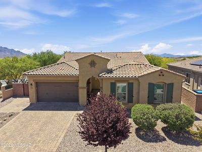 935 W Zebra Tail Ct