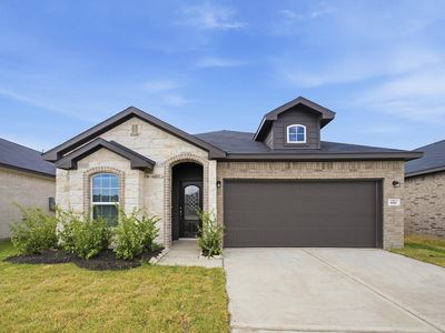 810 Alaska Cedar Dr