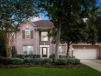 31 S Chandler Creek Cir