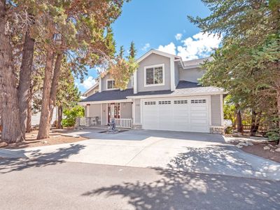 42419 Bear Loop
