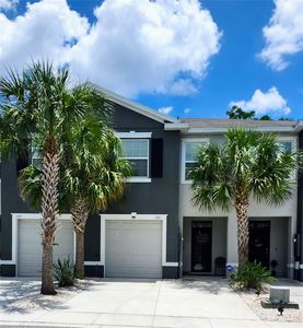 Property at 3247 Pleasant Willow Ct, Brandon, FL