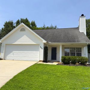 225 Iron Wood Ct