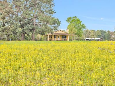 15487 County Road 228