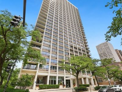 88 W Schiller St APT 1107L